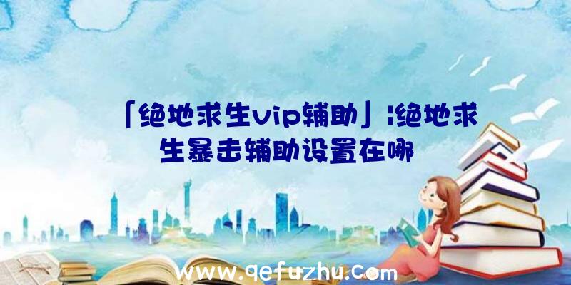 「绝地求生vip辅助」|绝地求生暴击辅助设置在哪